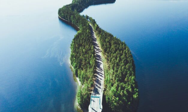 What an amazing feeling….